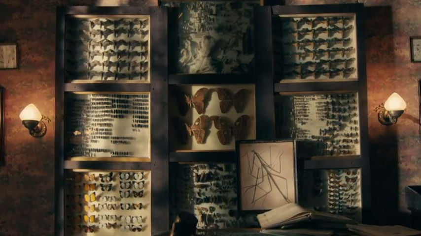 Szene aus „The Duke of Burgundy“ © IFC Films