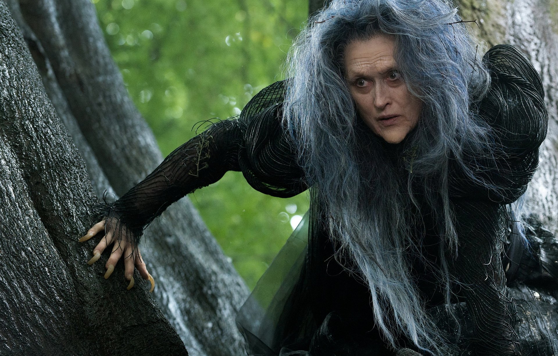 Kritik Into the Woods